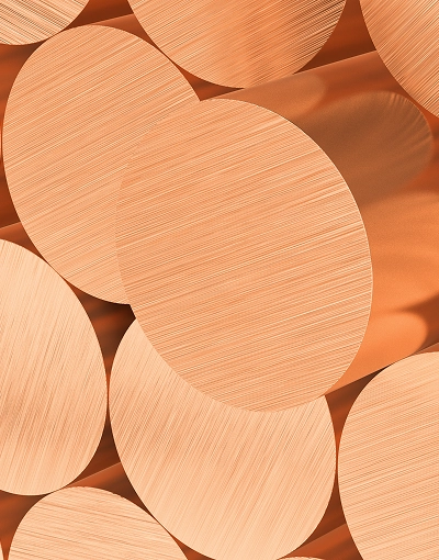 Pantheon Coppers Closed-up Shot